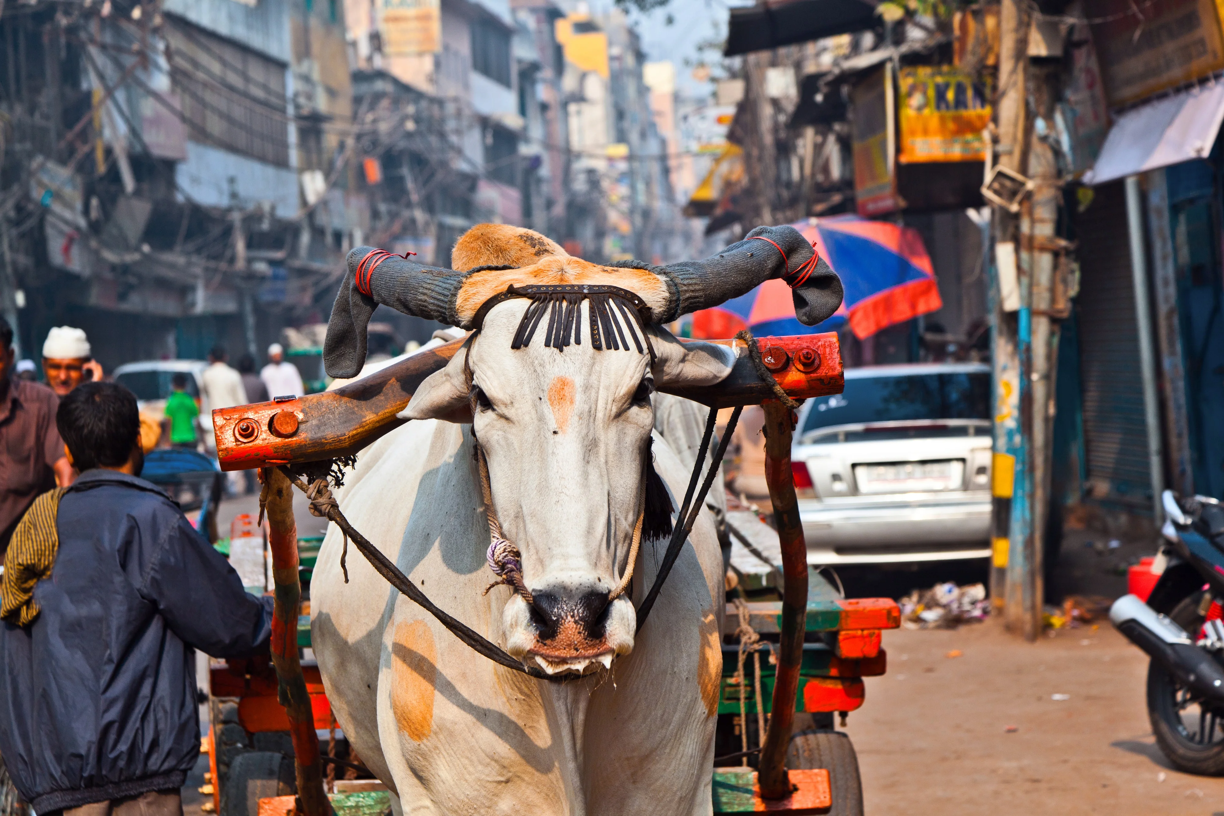 Old Delhi